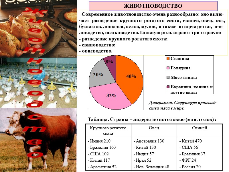 Животноводство ЖИВОТНОВОДСТВО   Современное животноводство очень разнообразно: оно вклю-чает  разведение  крупного